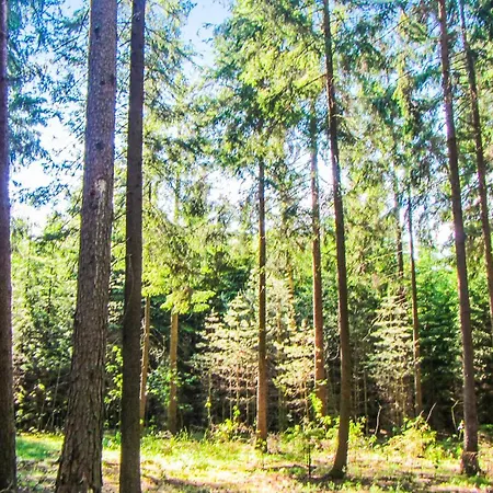 Kaplityny Iv Barczewo